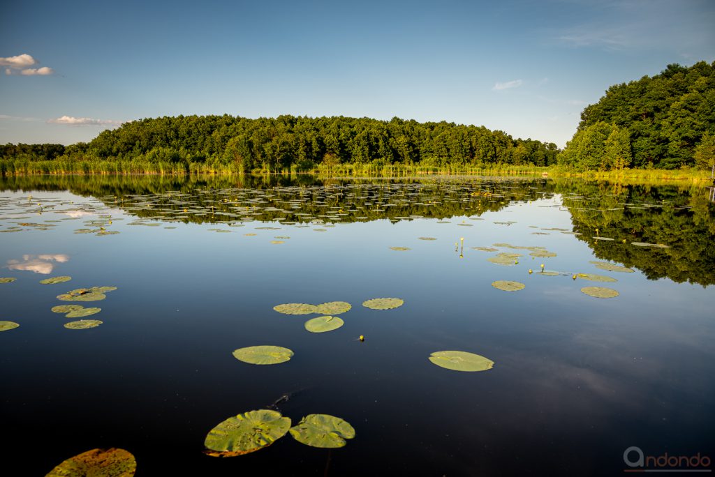 Köthener See