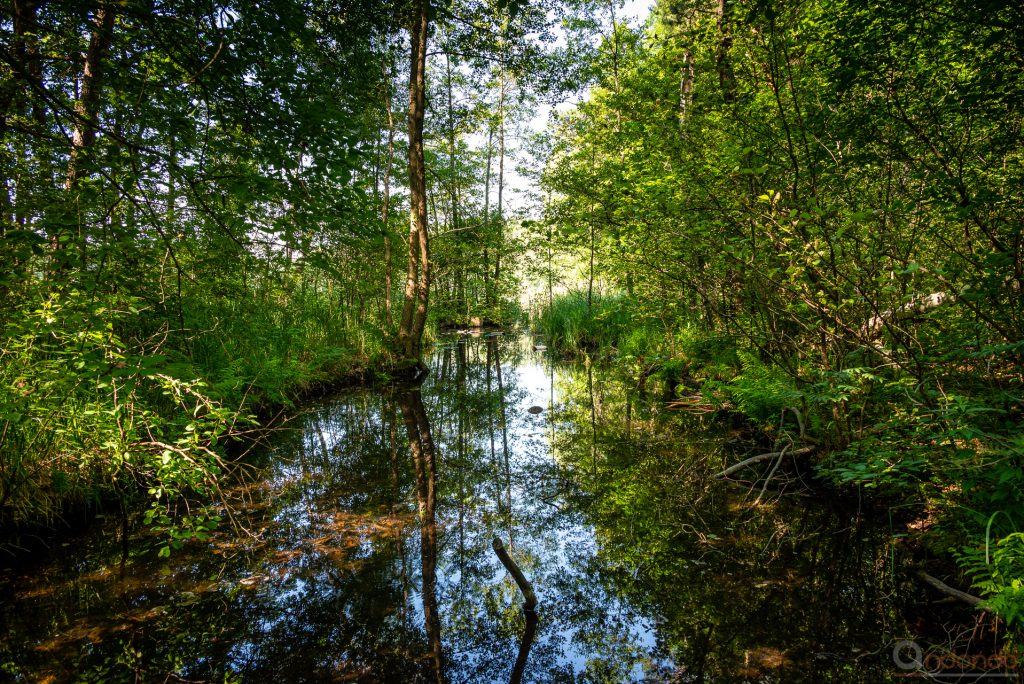 Wanderweg an den Heideseen