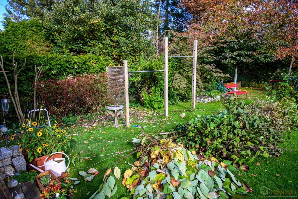 Hecke zurückgeschnitten