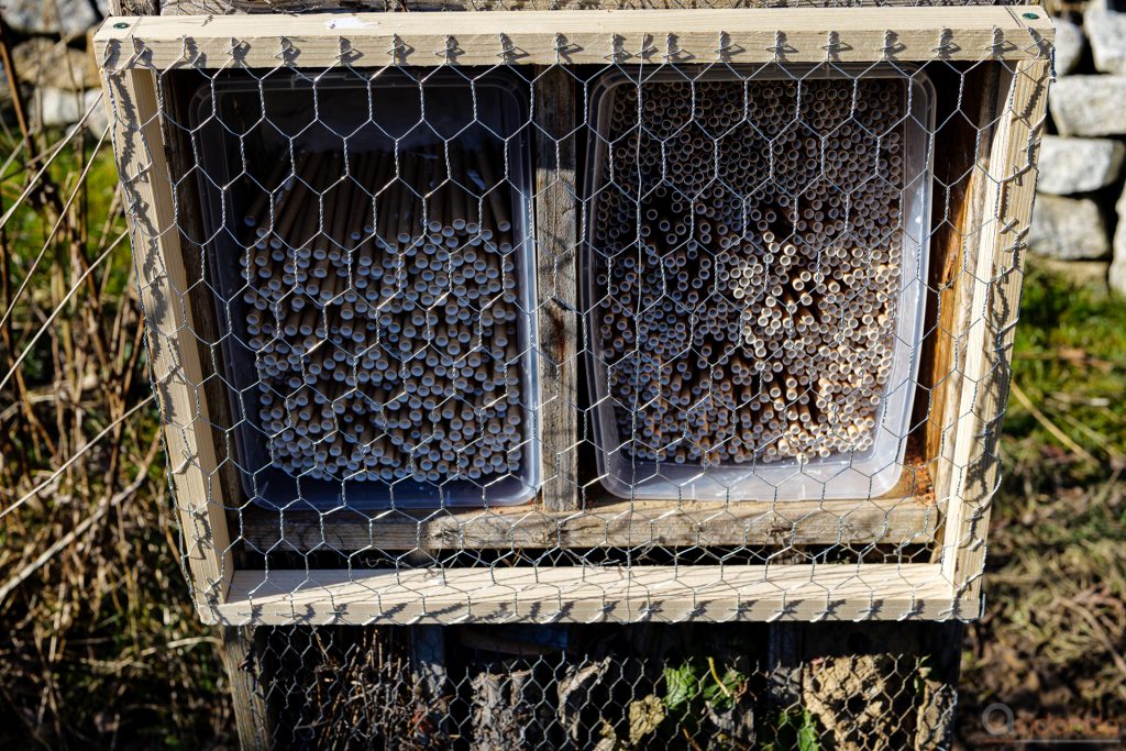 Nisthilfen für Wildbienen