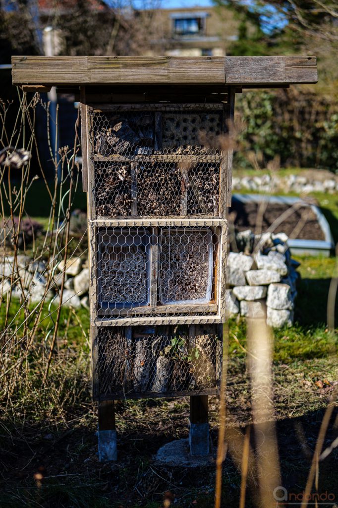 Insektenhotel am neuen Platz