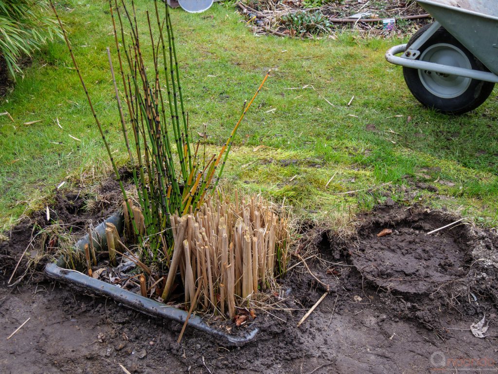 Alter "Gartenteich"