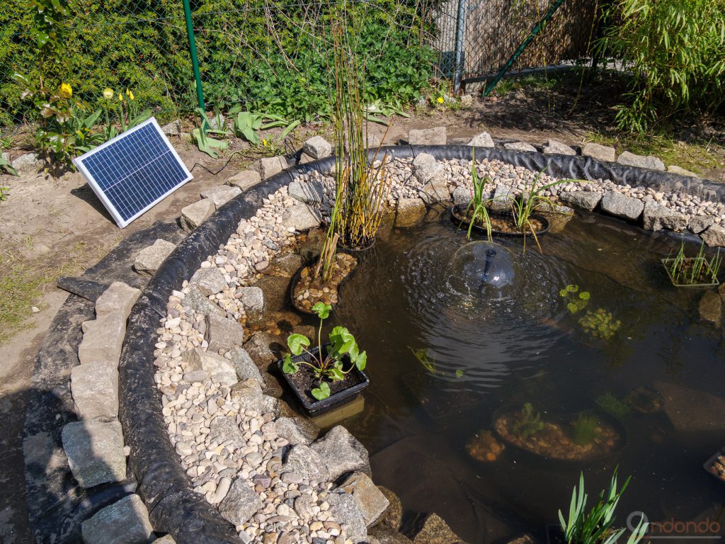 Teichpumpe mit angeschlossenem Solarpanel bei Sonnenschein