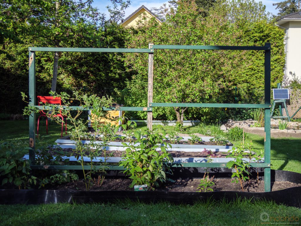 Rankhilfe Brom- und Himbeeren