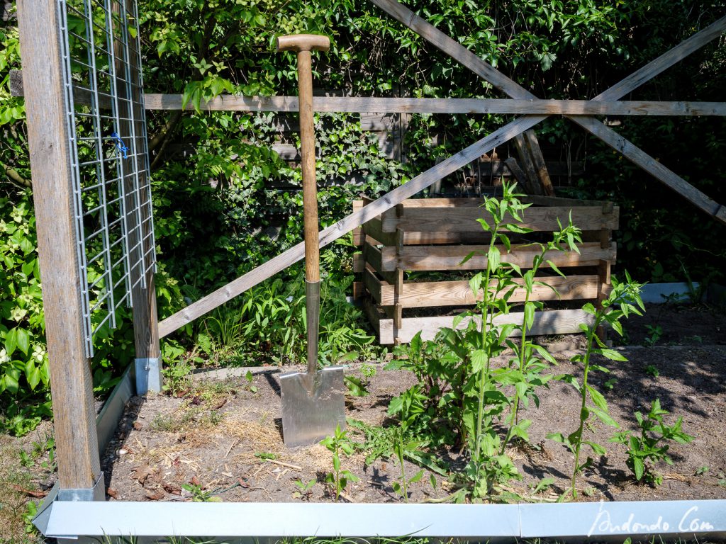 Tomatenbeet im Ausgangszustand