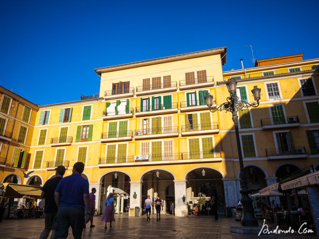 Placa Major - Palma