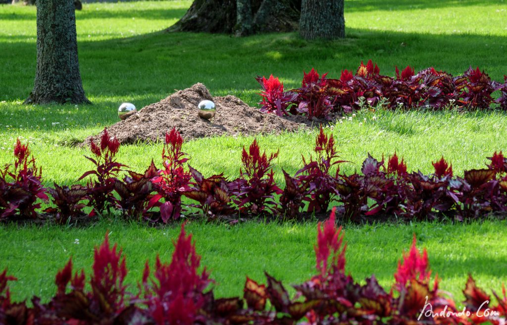 Gartenschlange - Public Gardens - Halifax