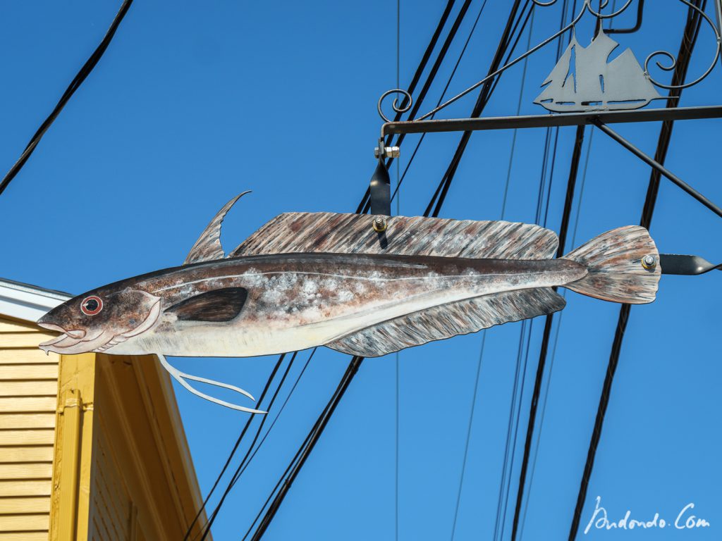 Kunst in Lunenburg