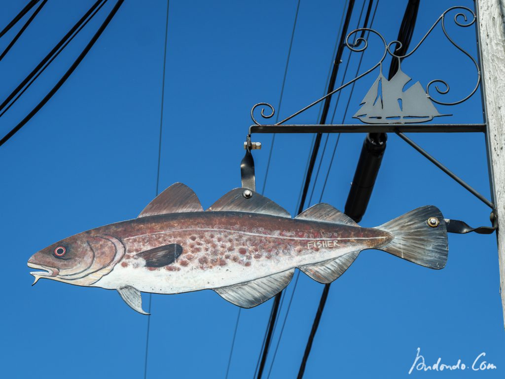 Kunst in Lunenburg