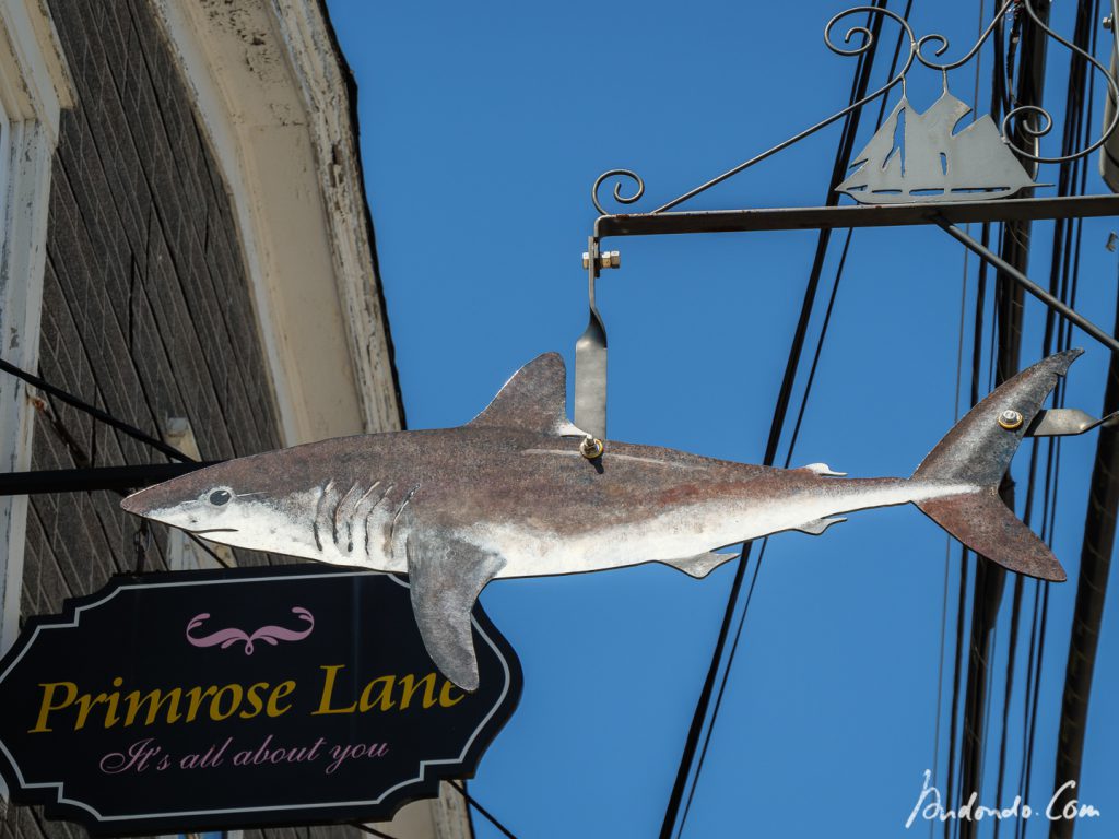 Kunst in Lunenburg