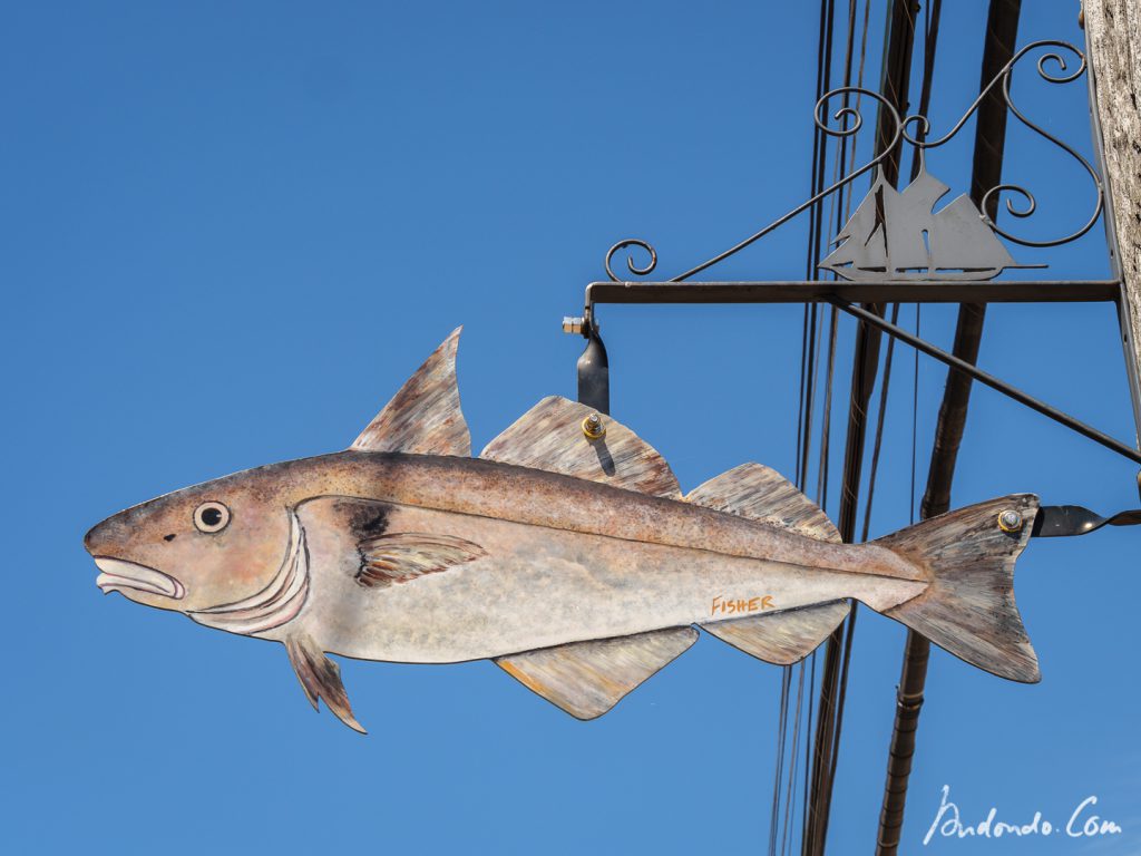 Kunst in Lunenburg