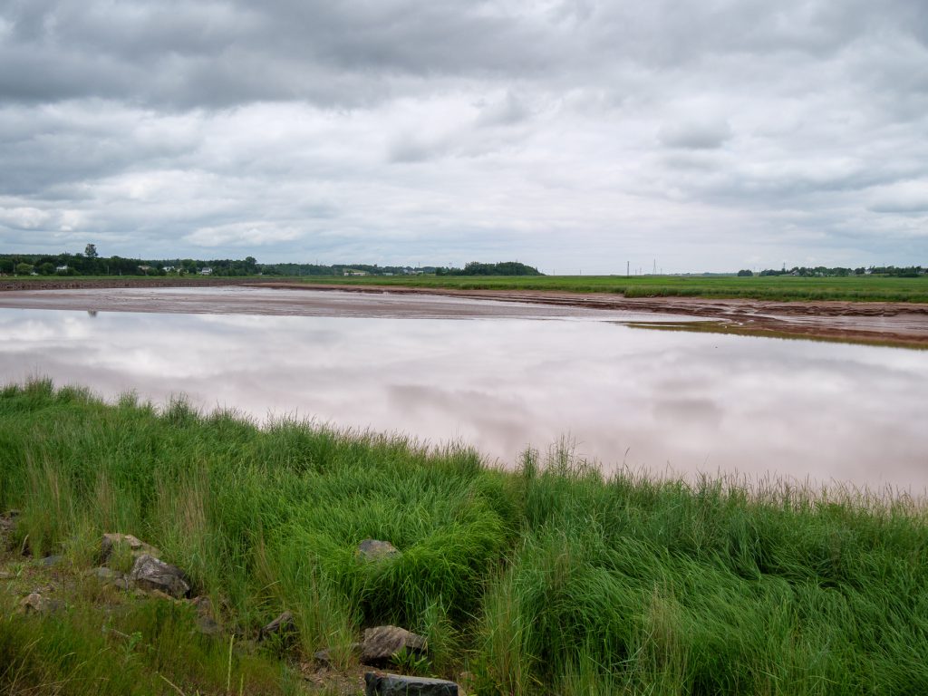 Tidal Bore Truro