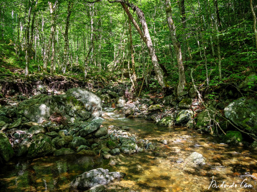 Am Falls Brook entlang