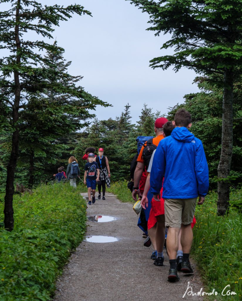 Viel los am Skyline Trail