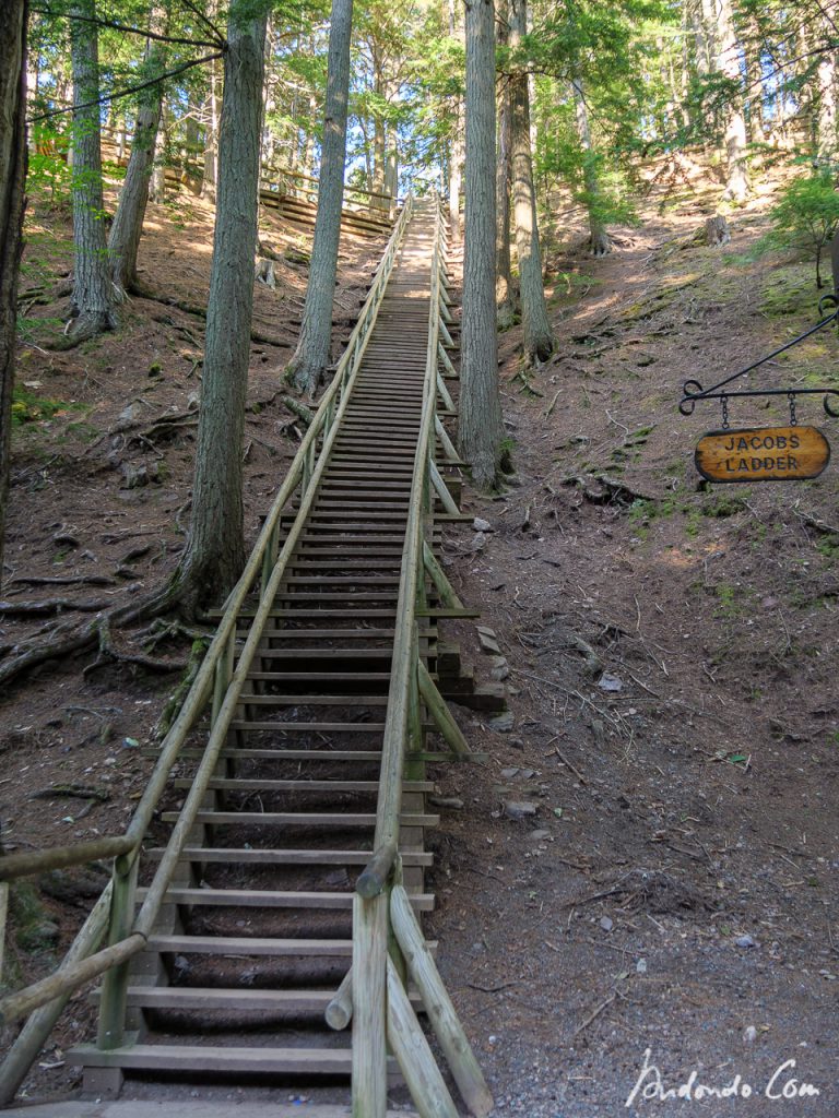 Jacobs Ladder - Treppe im Victoria Park Truro
