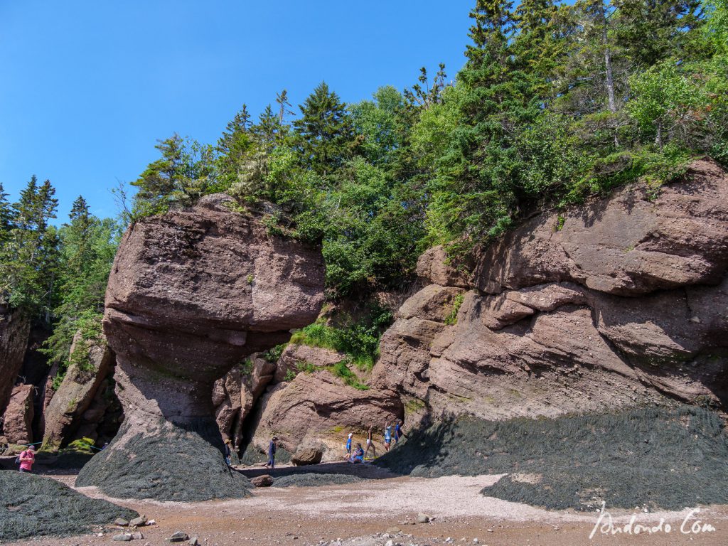 Hopewell Rocks