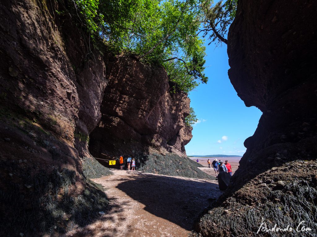 Hopewell Rocks