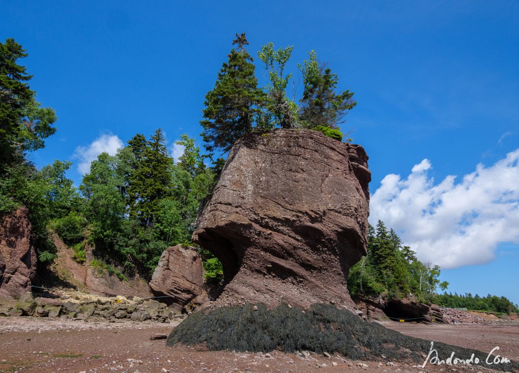 Hopewell Rocks