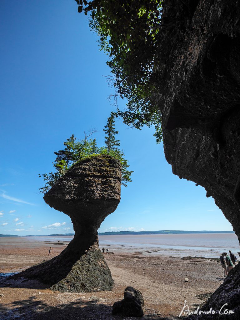 Hopewell Rocks