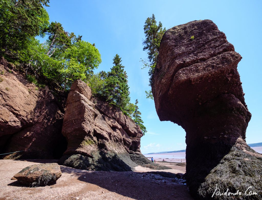 Hopewell Rocks