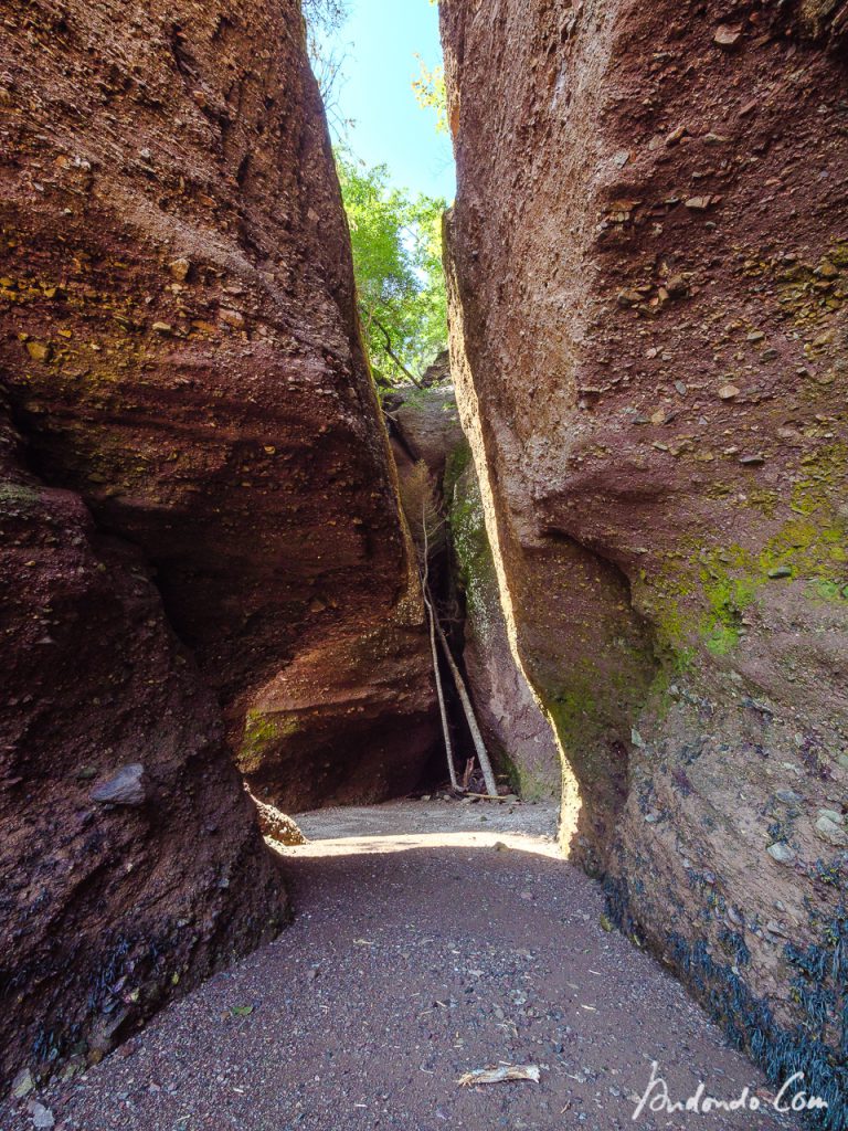 Hopewell Rocks