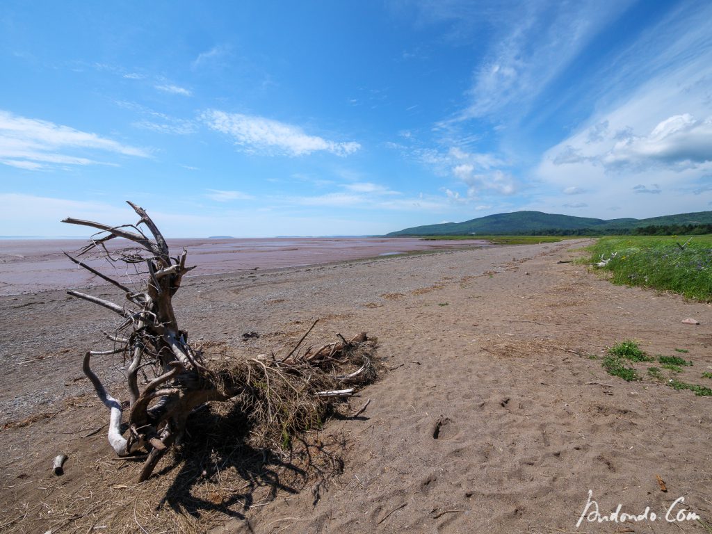 Am Strand von Hopewell Cape