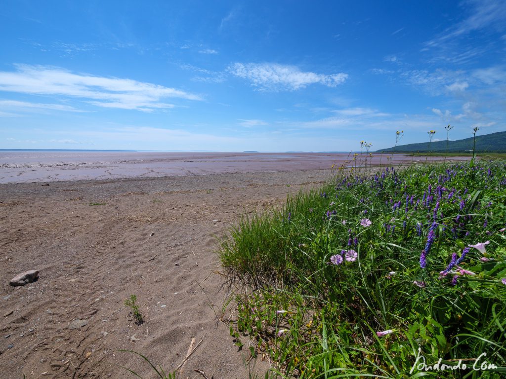 Am Strand von Hopewell Cape