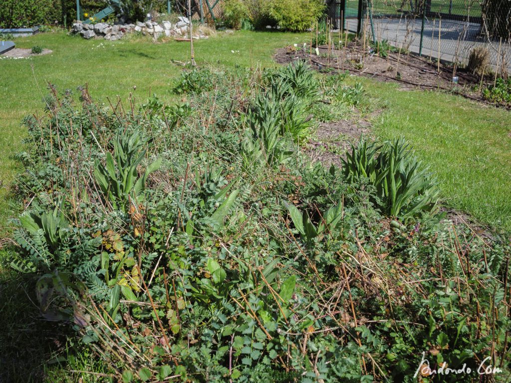 Blumenwiese im Ausgangszustand