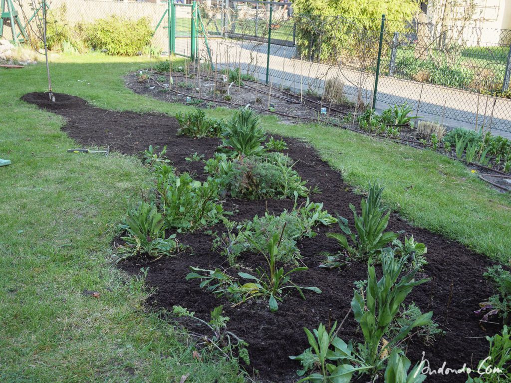 Blumenwiese geputzt