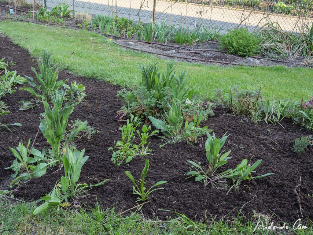 Blumenwiese geputzt