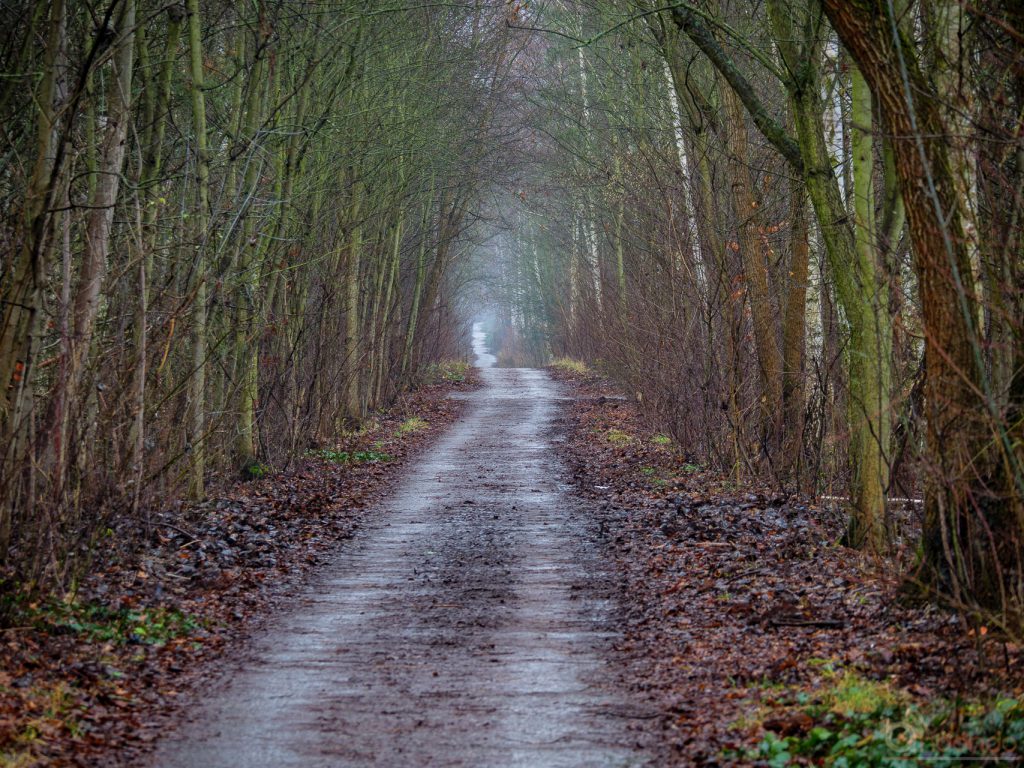 Alter Mauerweg Nähe Osdorfer Straße