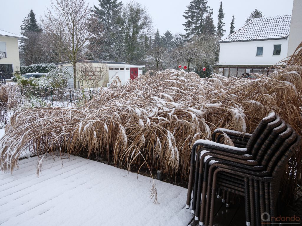 Erster Schnee im Garten