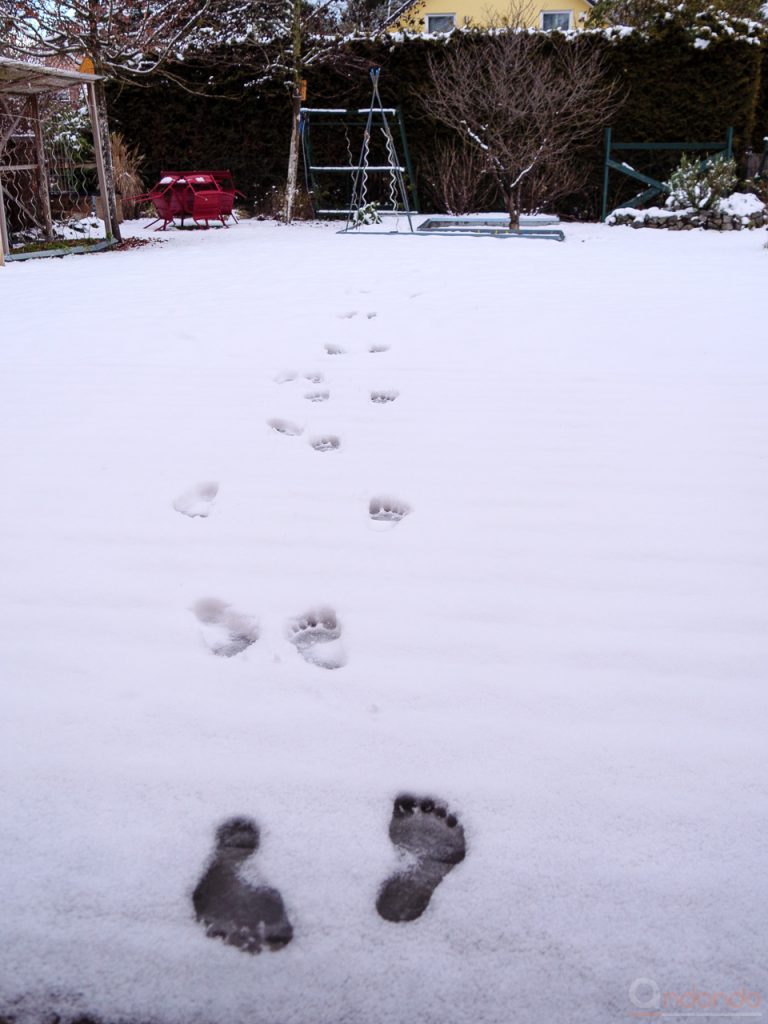 Seltsame Spuren im Schnee