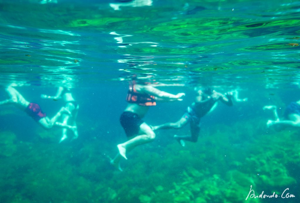 Schwimmen in der Cenote