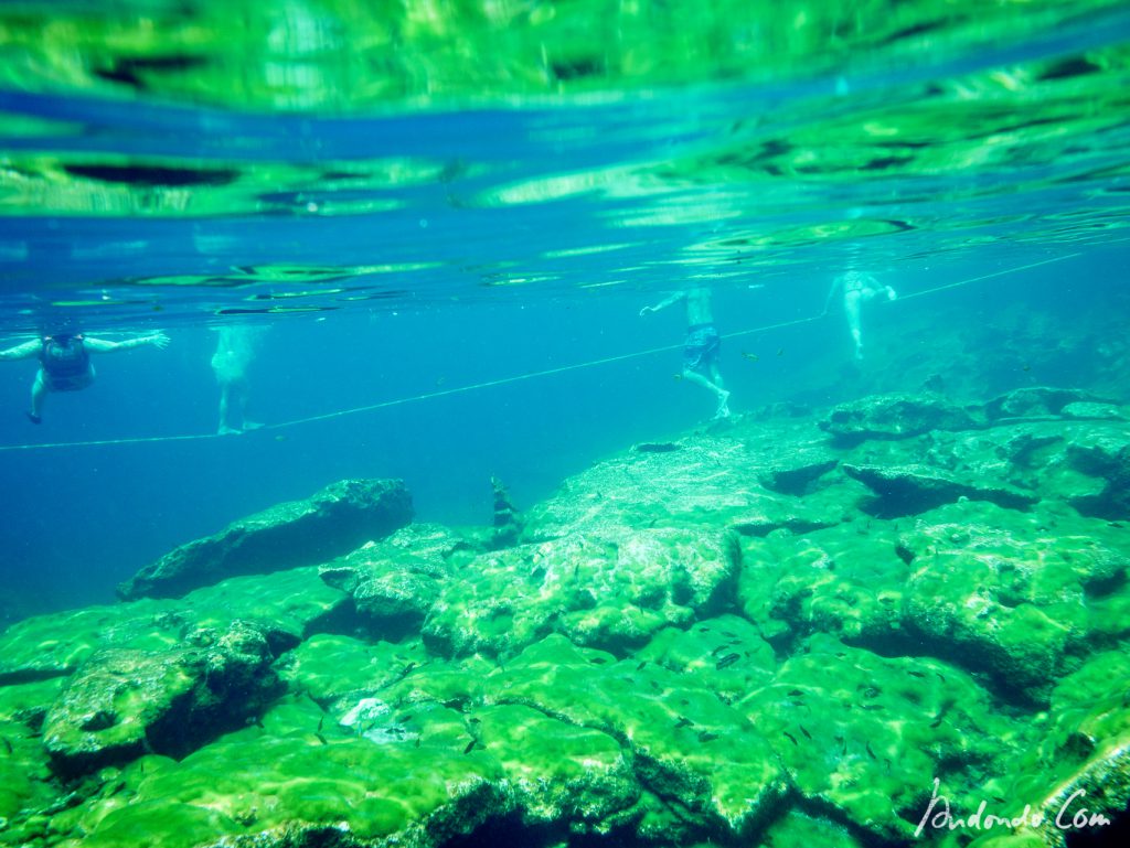Unterwasser in der Cenote