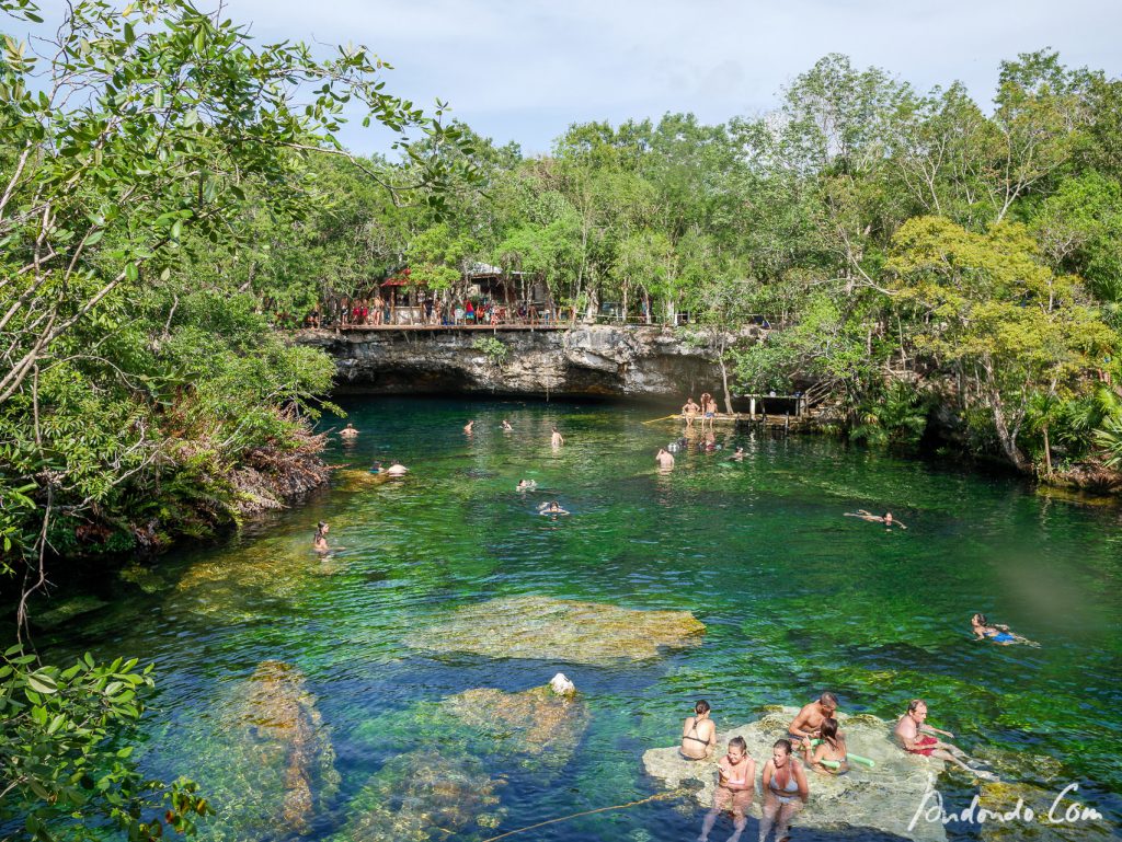 Baden in der Cenote