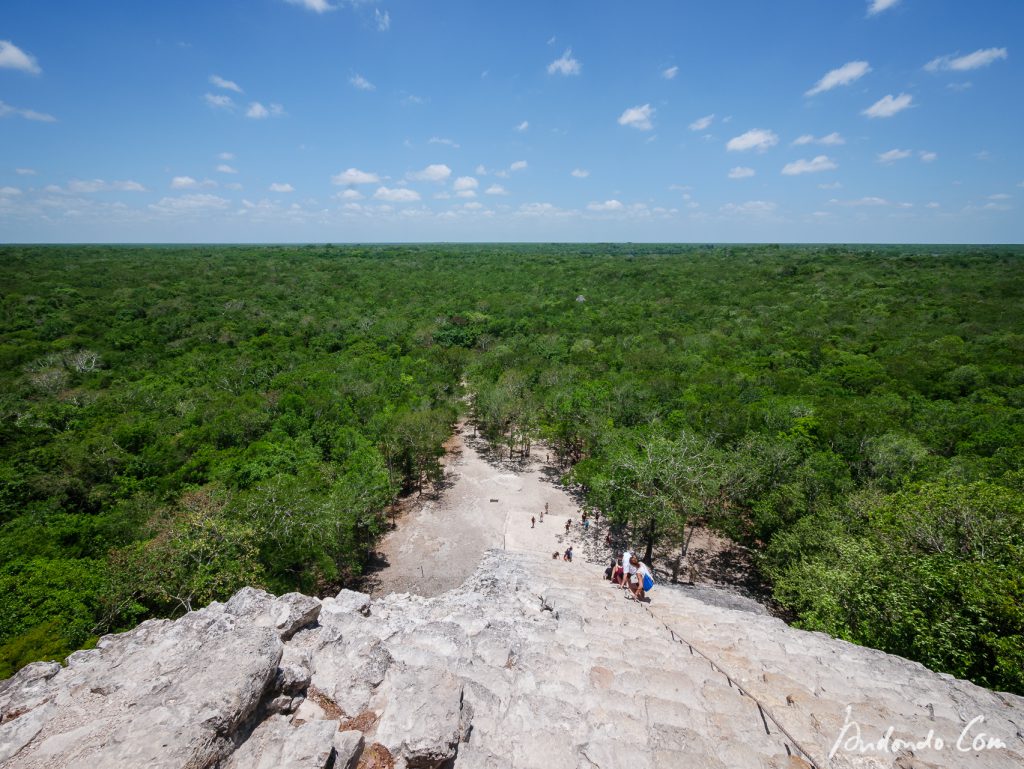 Blick von der Nohoch Mul-Pyramide