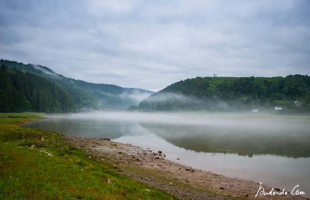 Nebel  am Fluss