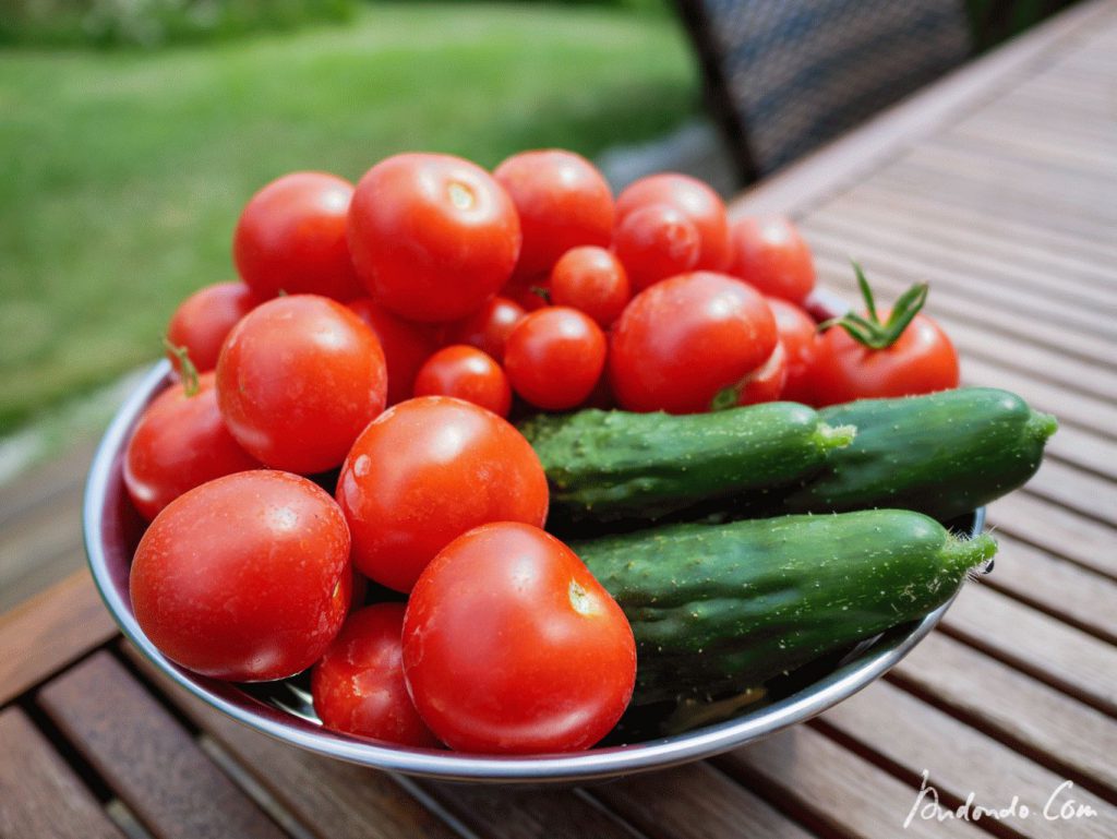 Tomaten und Gurken