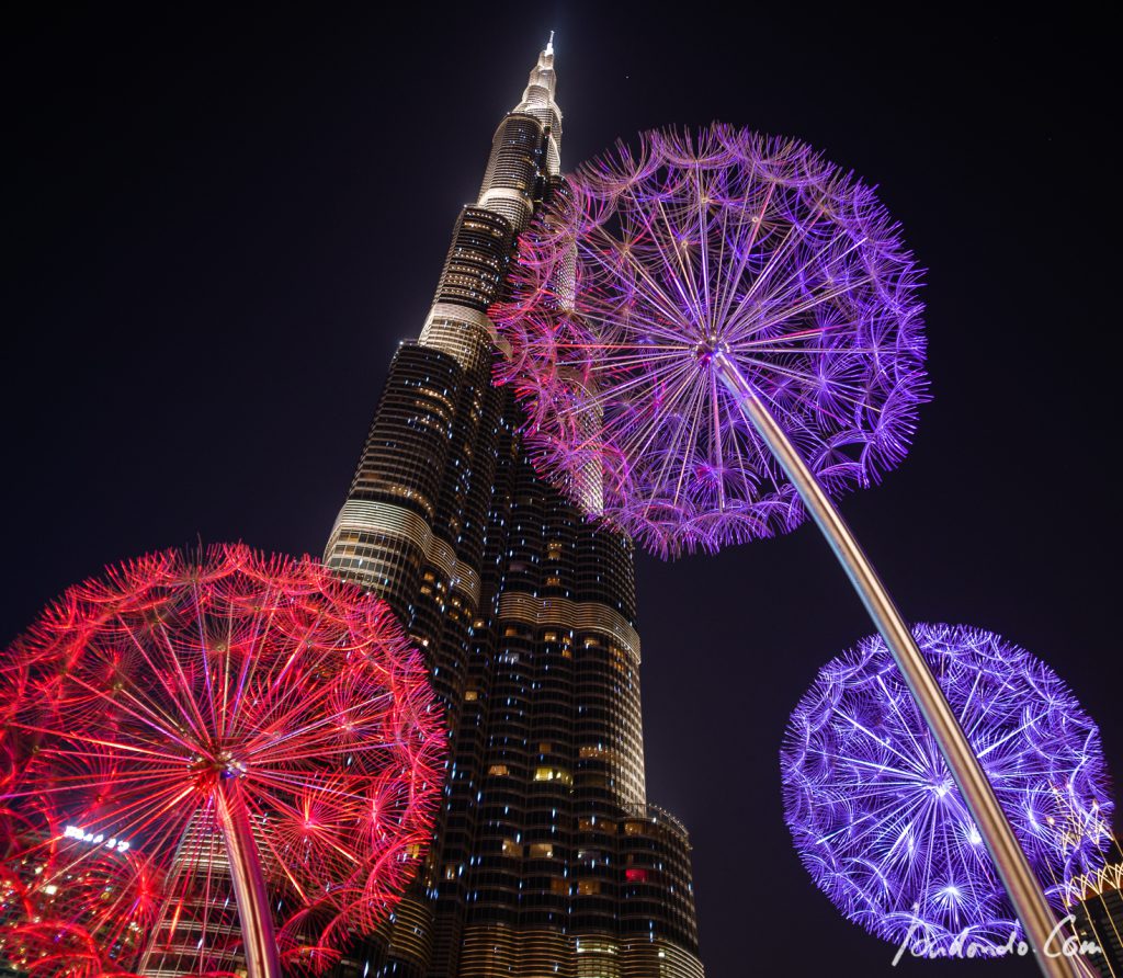 Burj Khalifa mit Blumen - 4