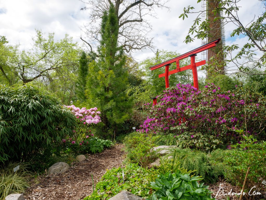 Botanischer Garten Potsdam