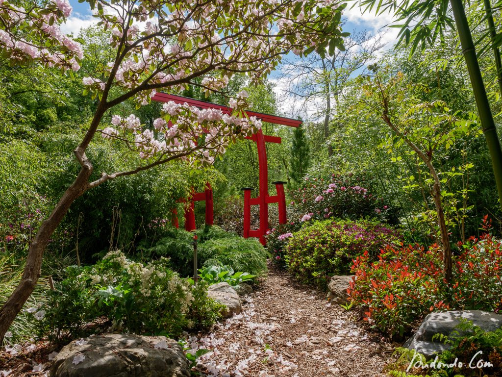 Botanischer Garten Potsdam