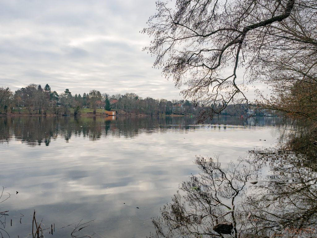 Blick auf den Griebnitzsee