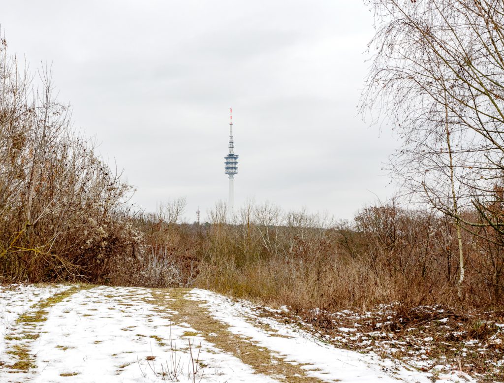 Blick auf den Sendeturm Schäferberg