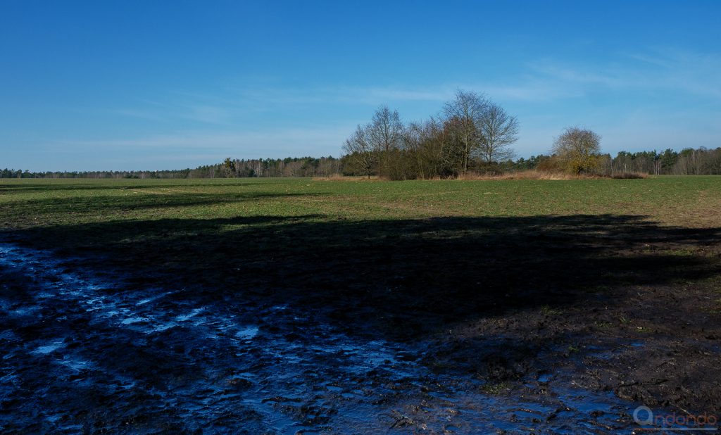 Blick über das Feld (7)