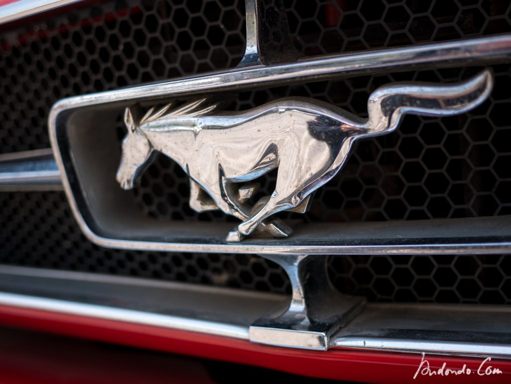 Ford Mustang -Kühleremblem