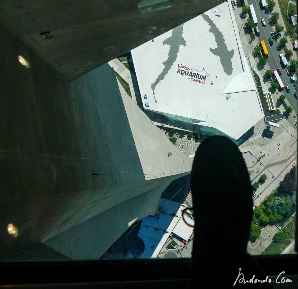 Blick vom CN Tower nach unten auf das Aquarium