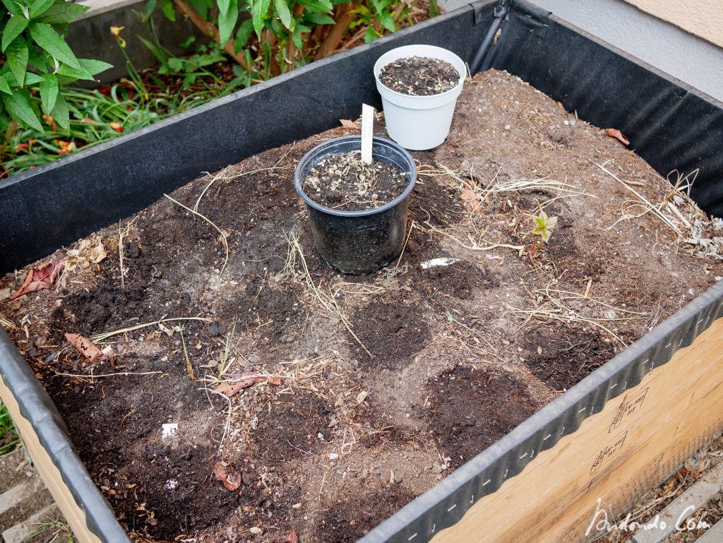 Beet mit angezogenen Sonnenhüten