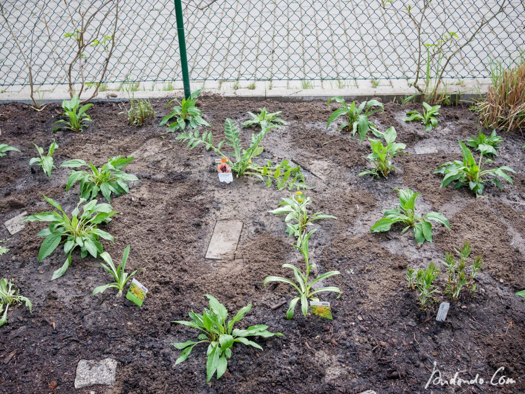 Bepflanzung abgeschlossen