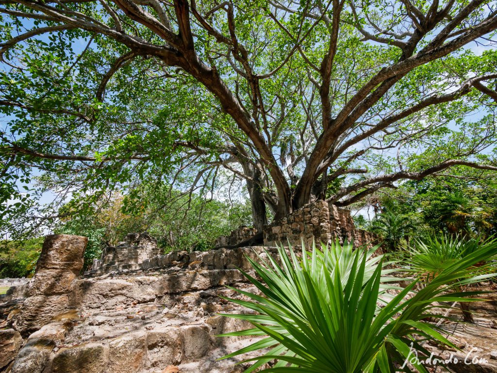 Mayastätte El Meco - Die Natur kehrt zurück